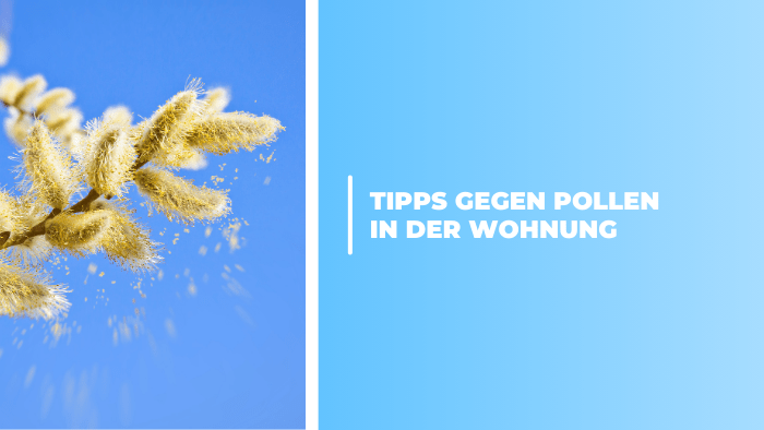 Unsere Tipps gegen Pollen in der Wohnung