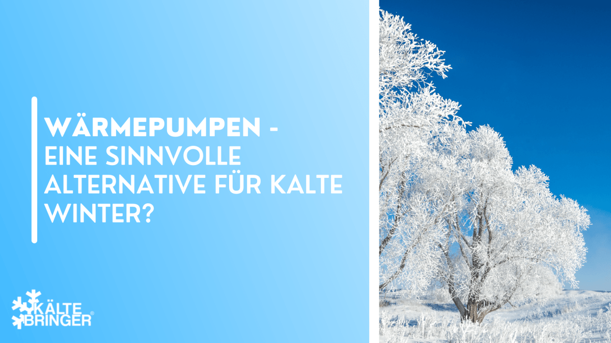 Wärmepumpen - Eine sinnvolle Alternative für kalte Winter?